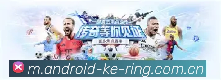 未来规划
